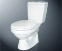 Bồn cầu Inax C-108VRN